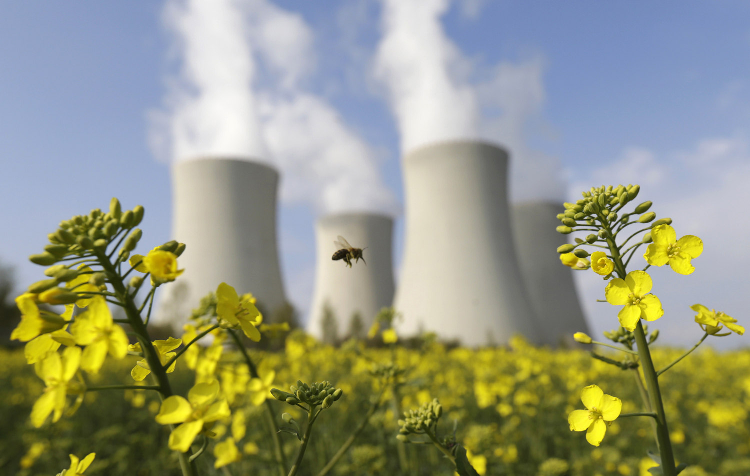 Энергетика будущего зеленеет реакторами на быстрых нейтронах