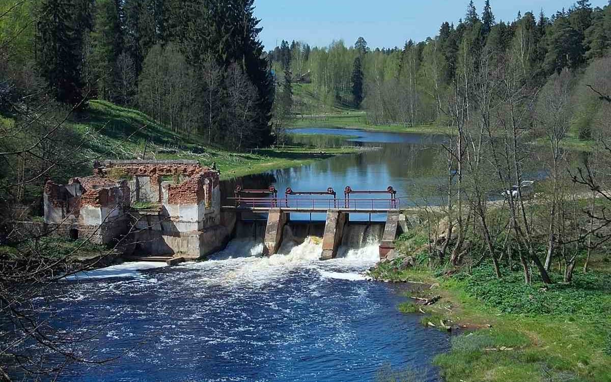 Река Пчевжа Ленинградской области